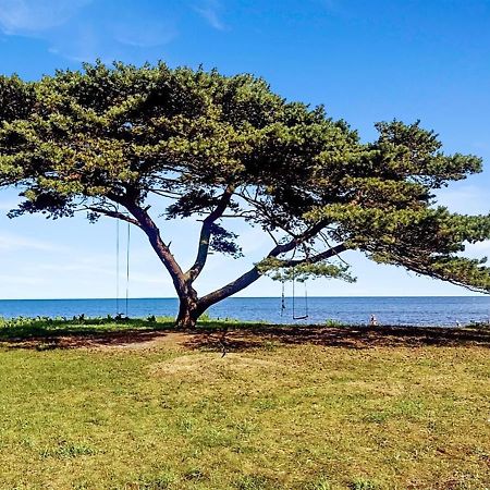 Holiday Home Anemette Neksø エクステリア 写真