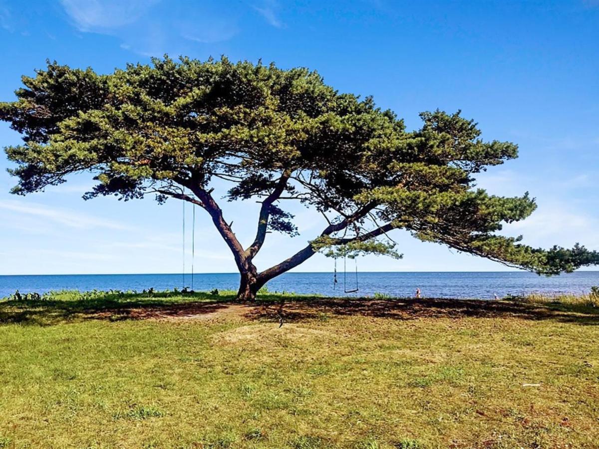 Holiday Home Anemette Neksø エクステリア 写真